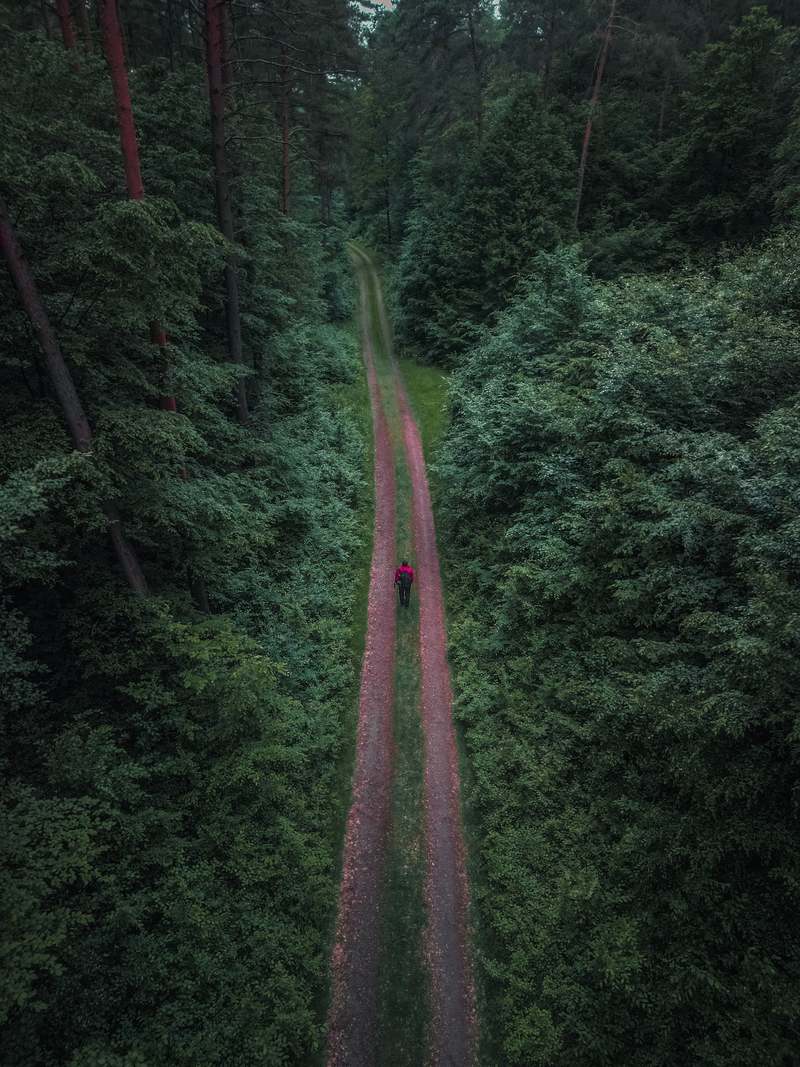 Aerial shot of a person walking on a remote forest path surrounded by lush greenery.