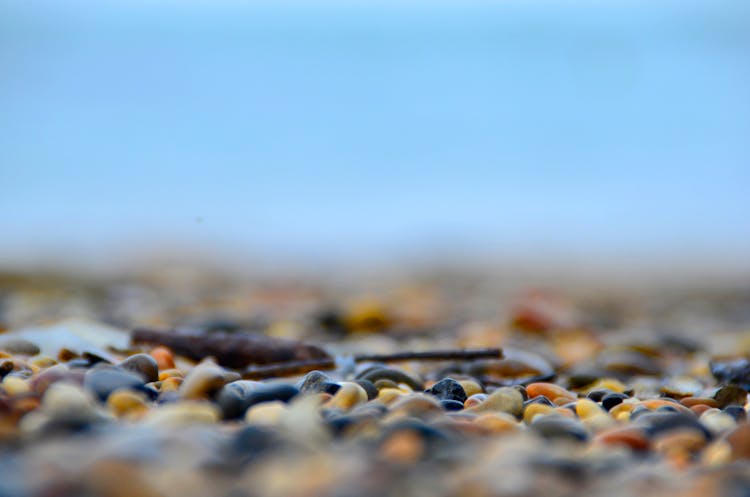 Colorful Stones On Ground