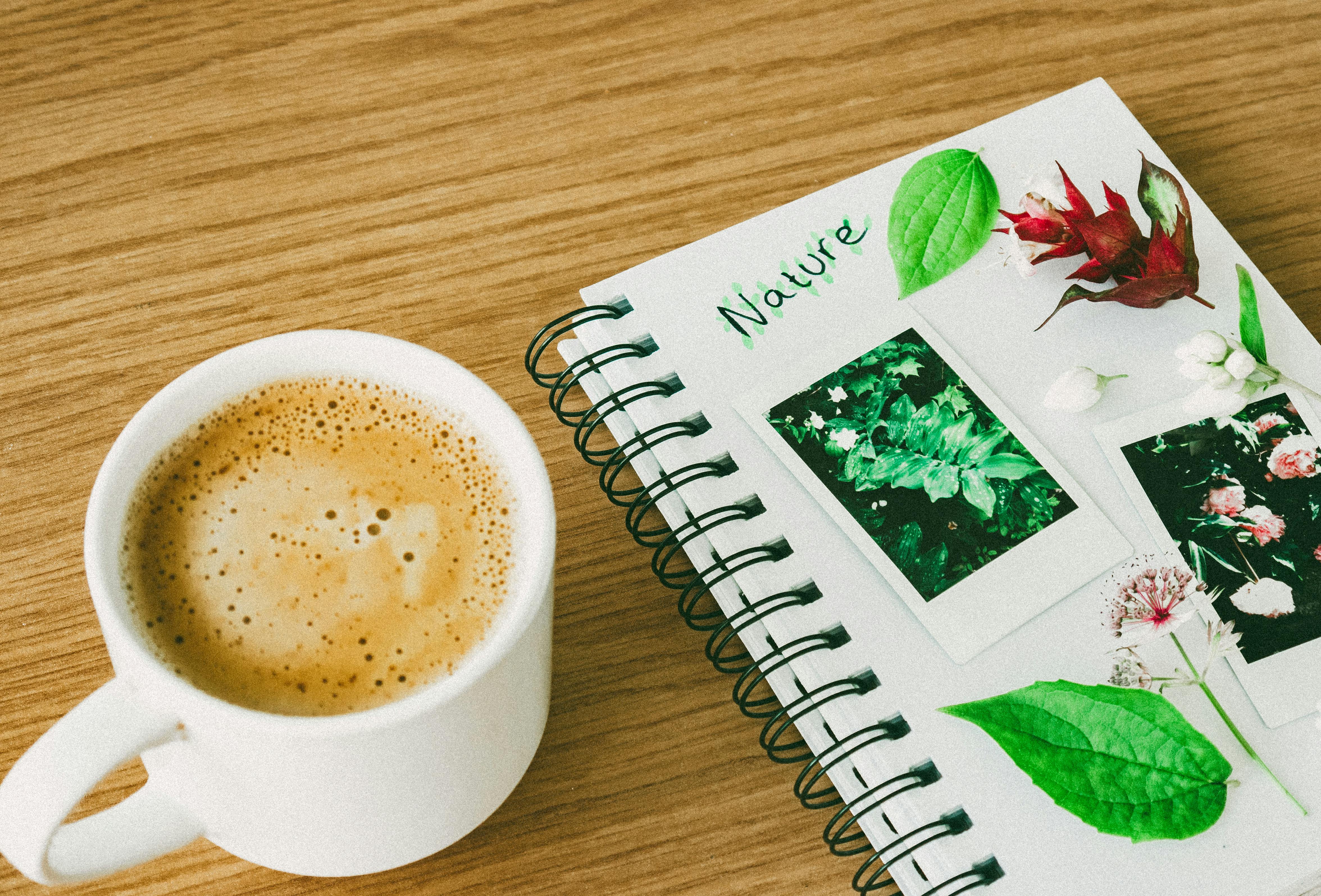 Scientific laboratory with open notebooks and pipettes