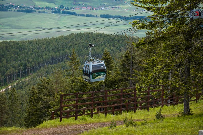 The Gold Gondola & Resort Centre