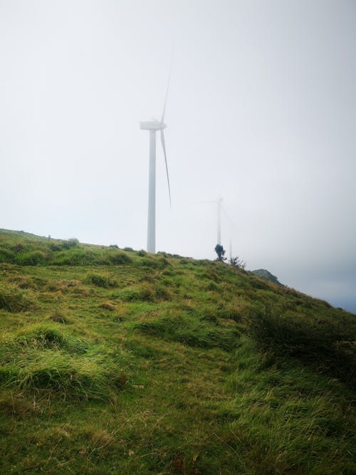 A person standing on a hill with wind turbines in the background