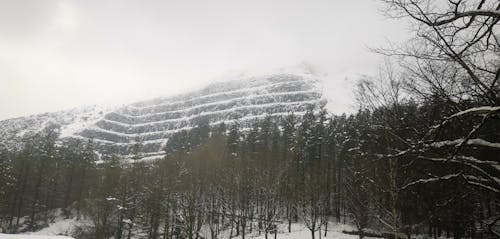 Nieve en la montaña 