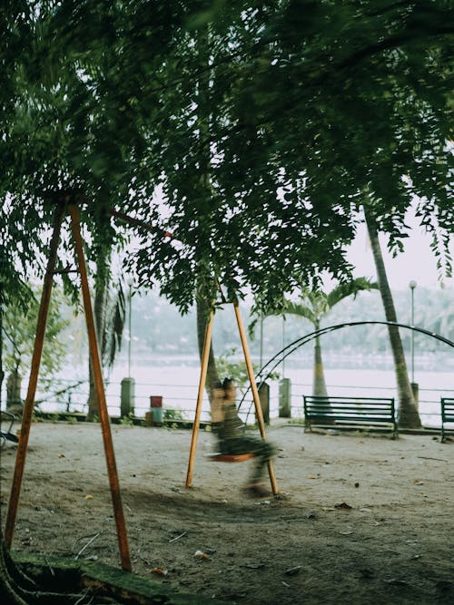 Fotos de stock gratuitas de agua, al aire libre, árbol