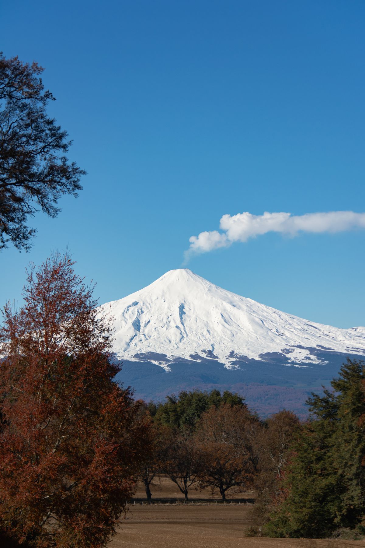 Snow-capped Villarrica volcano steaming under a blue sky