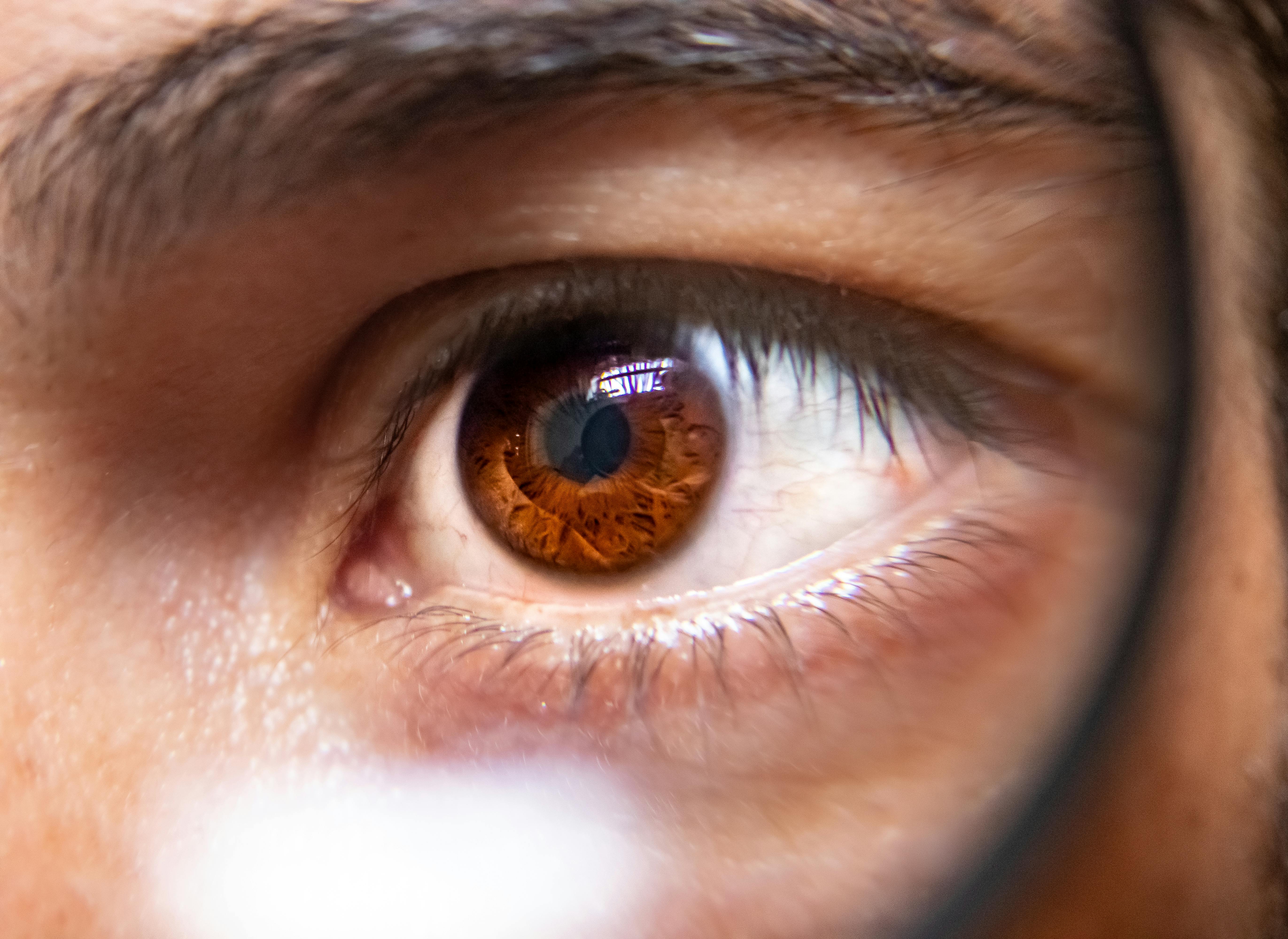 Gratuit Image macro détaillée d'un œil humain montrant l'iris et les reflets. Photos