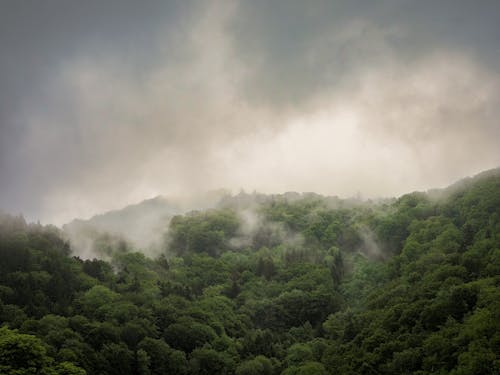Kostnadsfri bild av berg, dagsljus, dimma