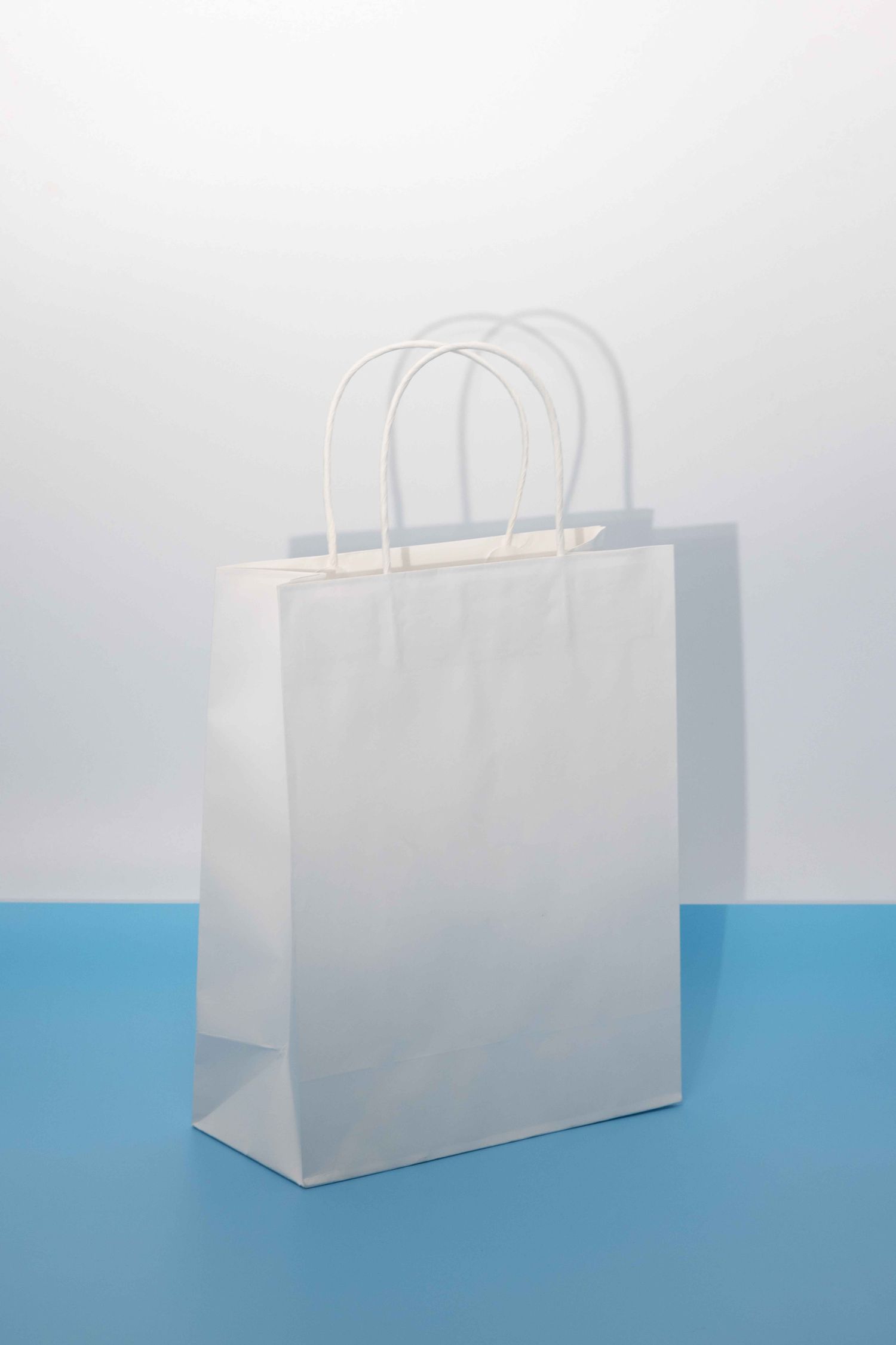 Elegant White Bag