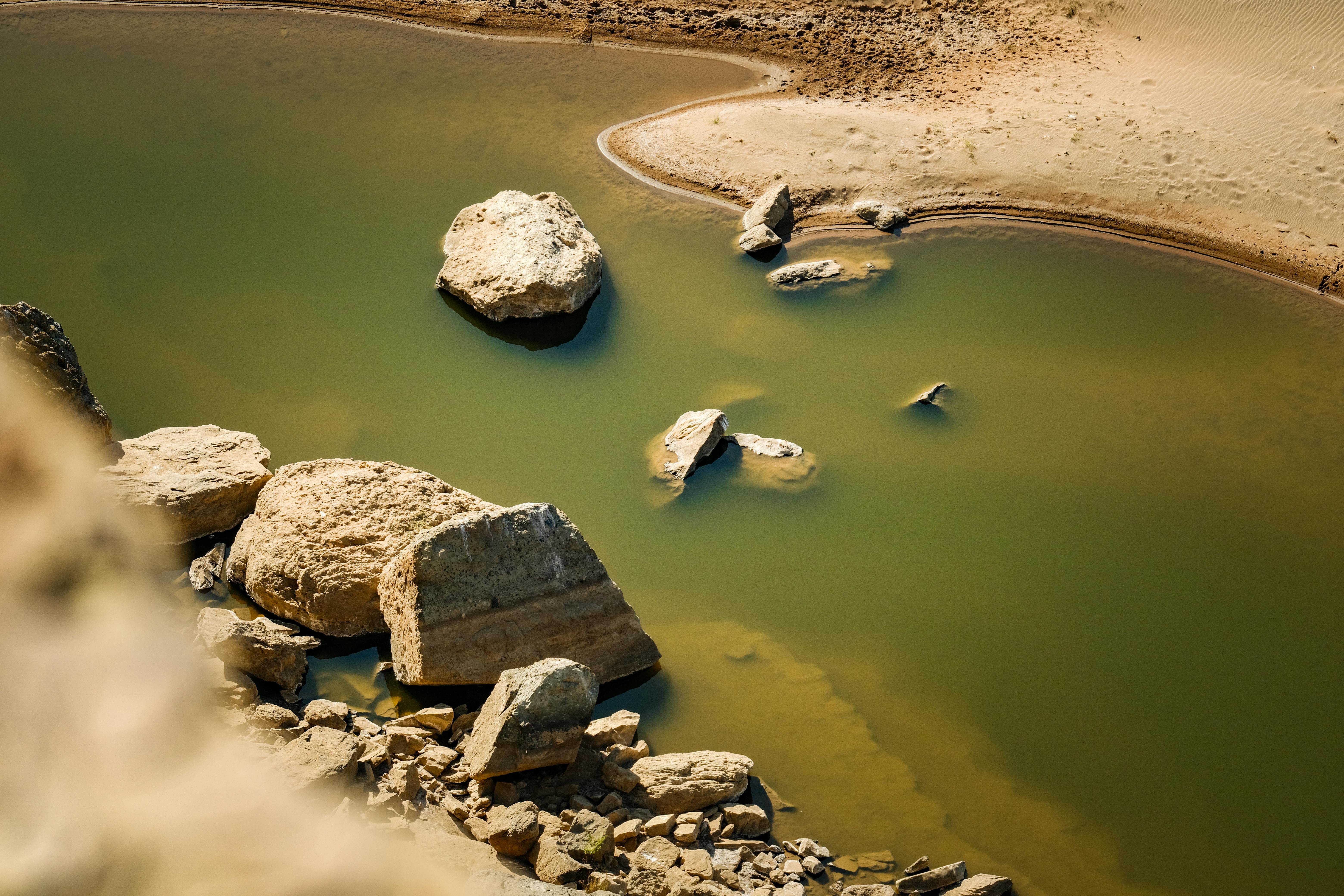 Drought Resilience and Water Conservation — Photo by Francesco Ungaro on Pexels