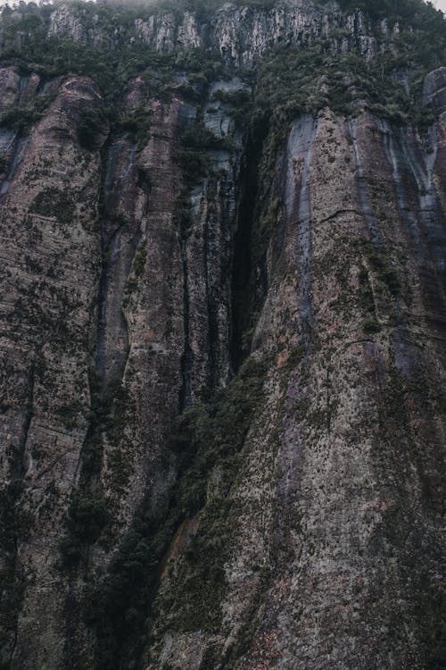 茶色と緑の山