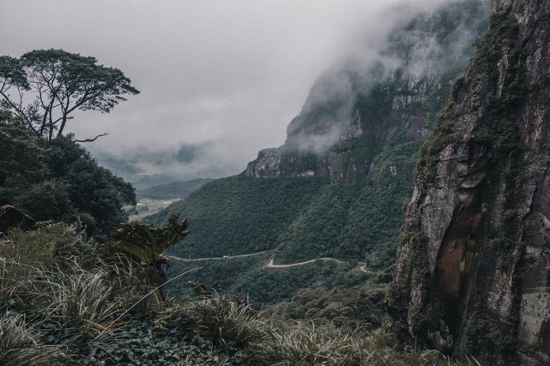 คลังภาพถ่ายฟรี ของ กลางวัน, กลางแจ้ง, การถ่ายภาพธรรมชาติ