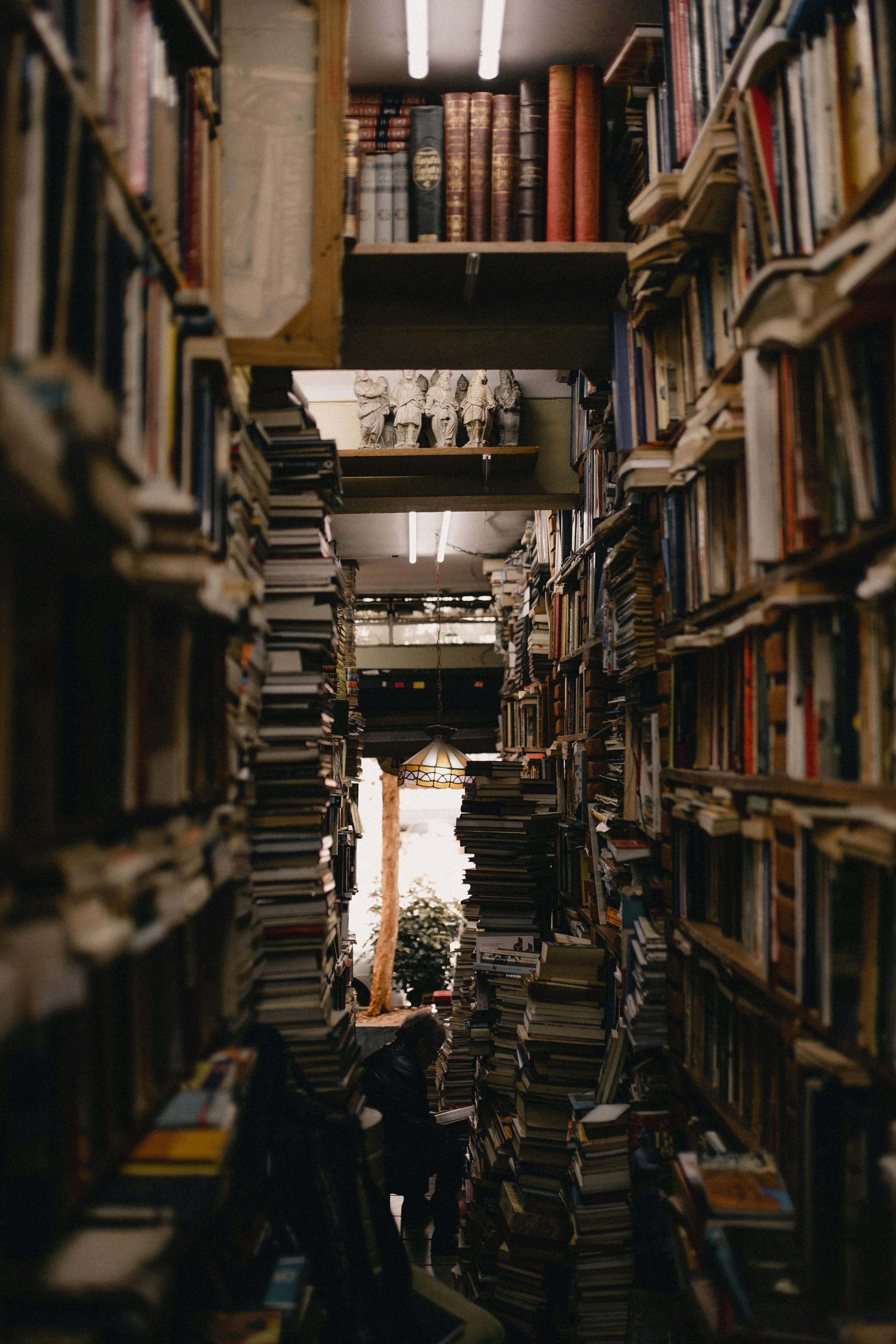 bundle of books on a library