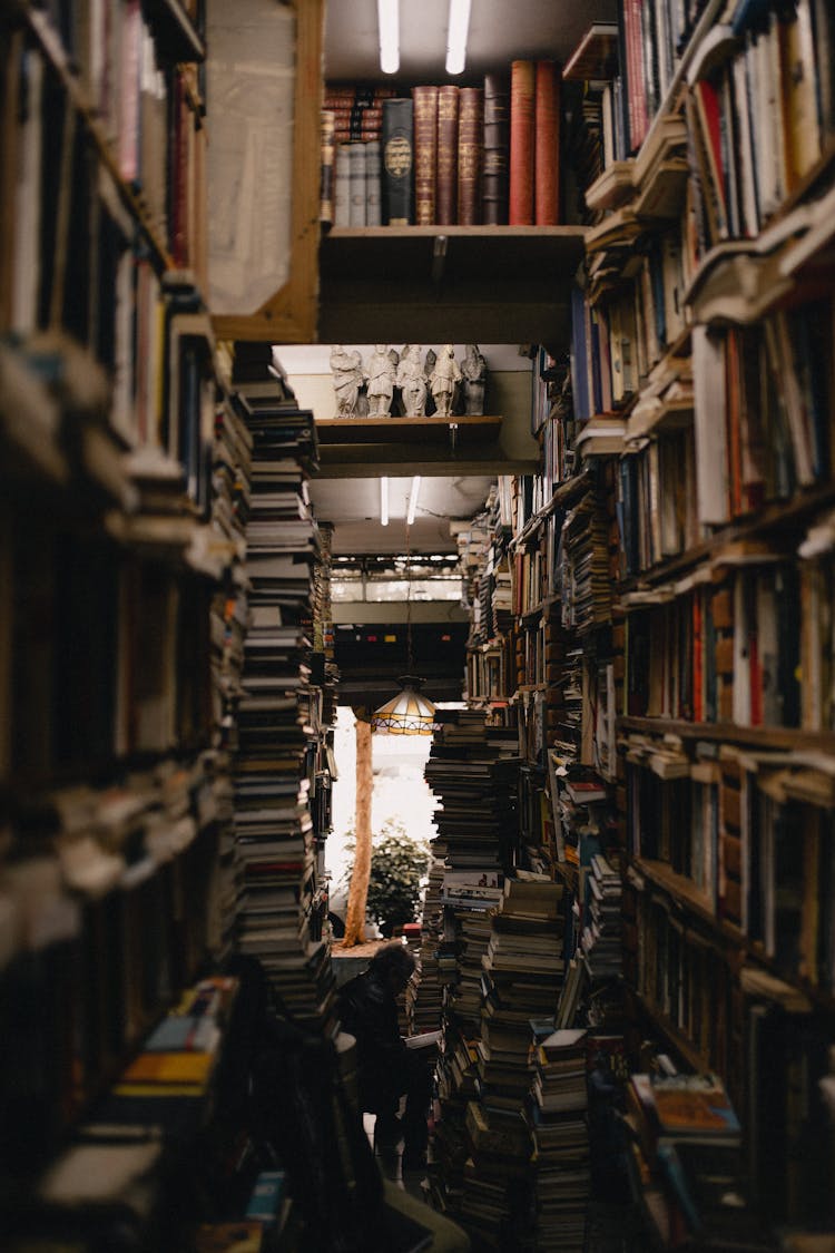 Bundle Of Books On A Library 