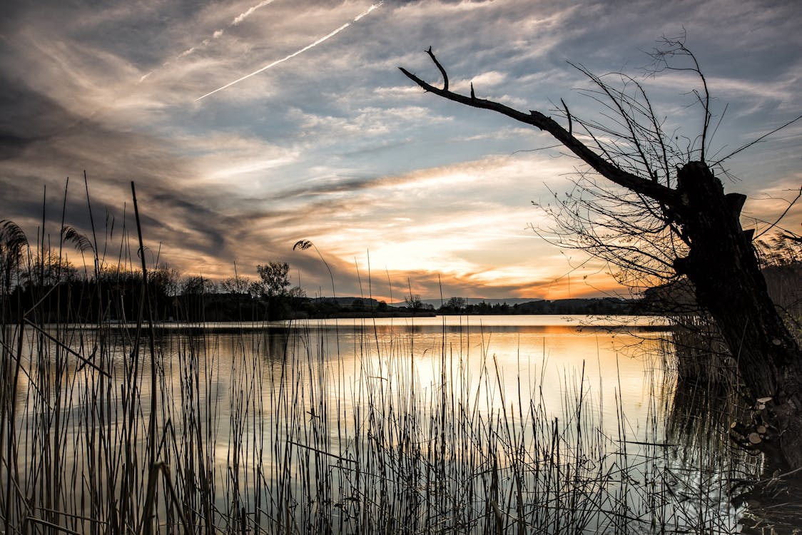 免費 日落期間天空映襯的湖風景 圖庫相片