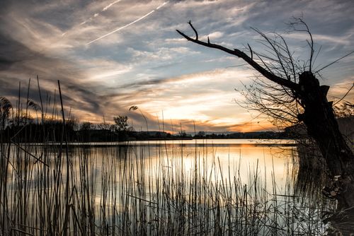 View of a Lake at Sunset · Free Stock Photo