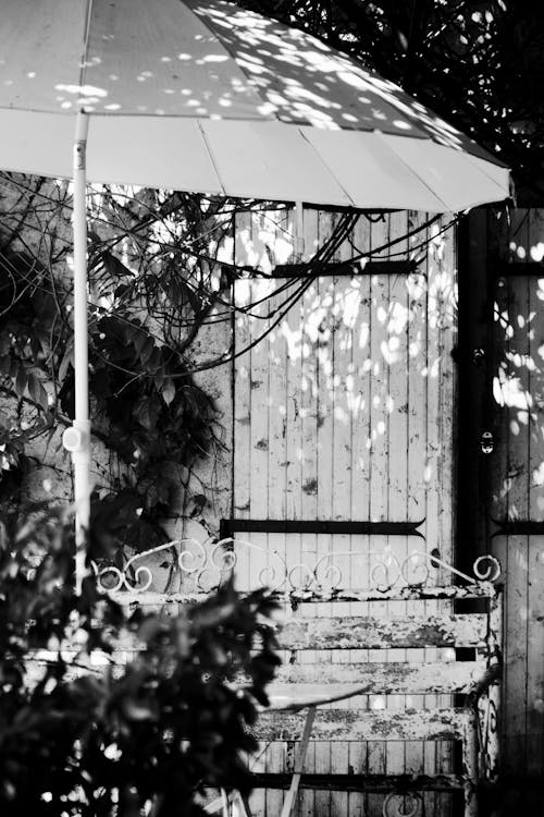 Бесплатное стоковое фото с ворота, зонт, монохромный