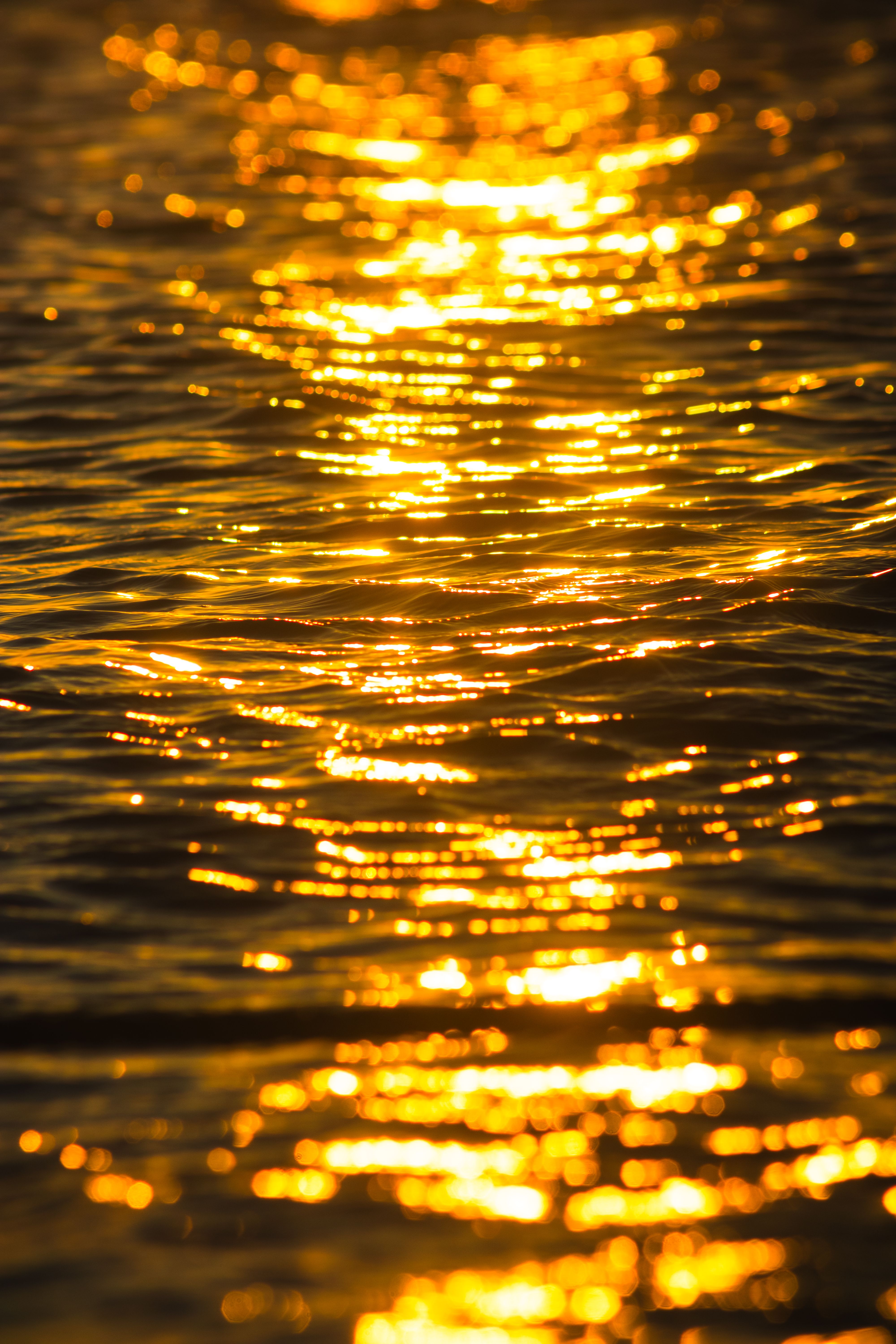 Capture of sunlit ripples on the sea surface at sunset, creating a golden glow.