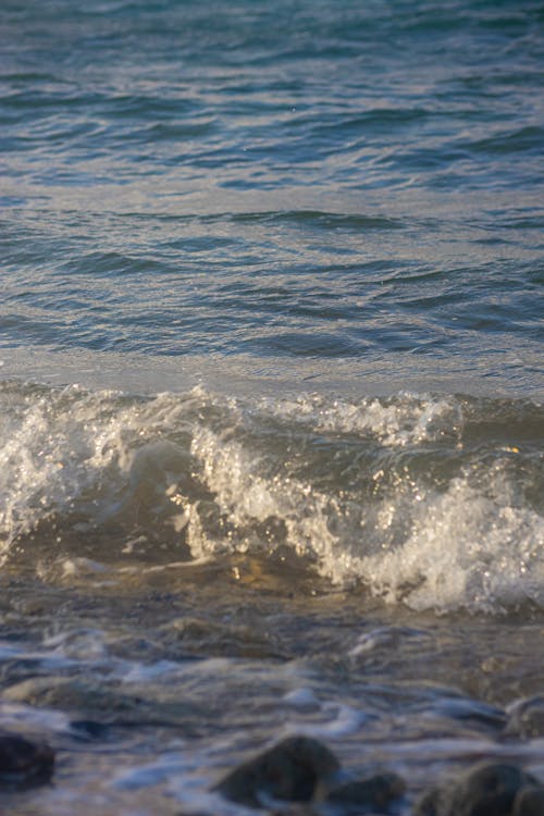 Gratis lagerfoto af bølge, h2o, hav