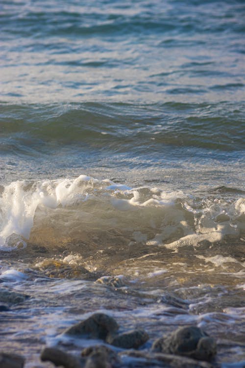 Gratis lagerfoto af bølge, h2o, hav