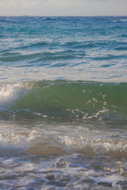 Gratis lagerfoto af bølge, hav, havudsigt