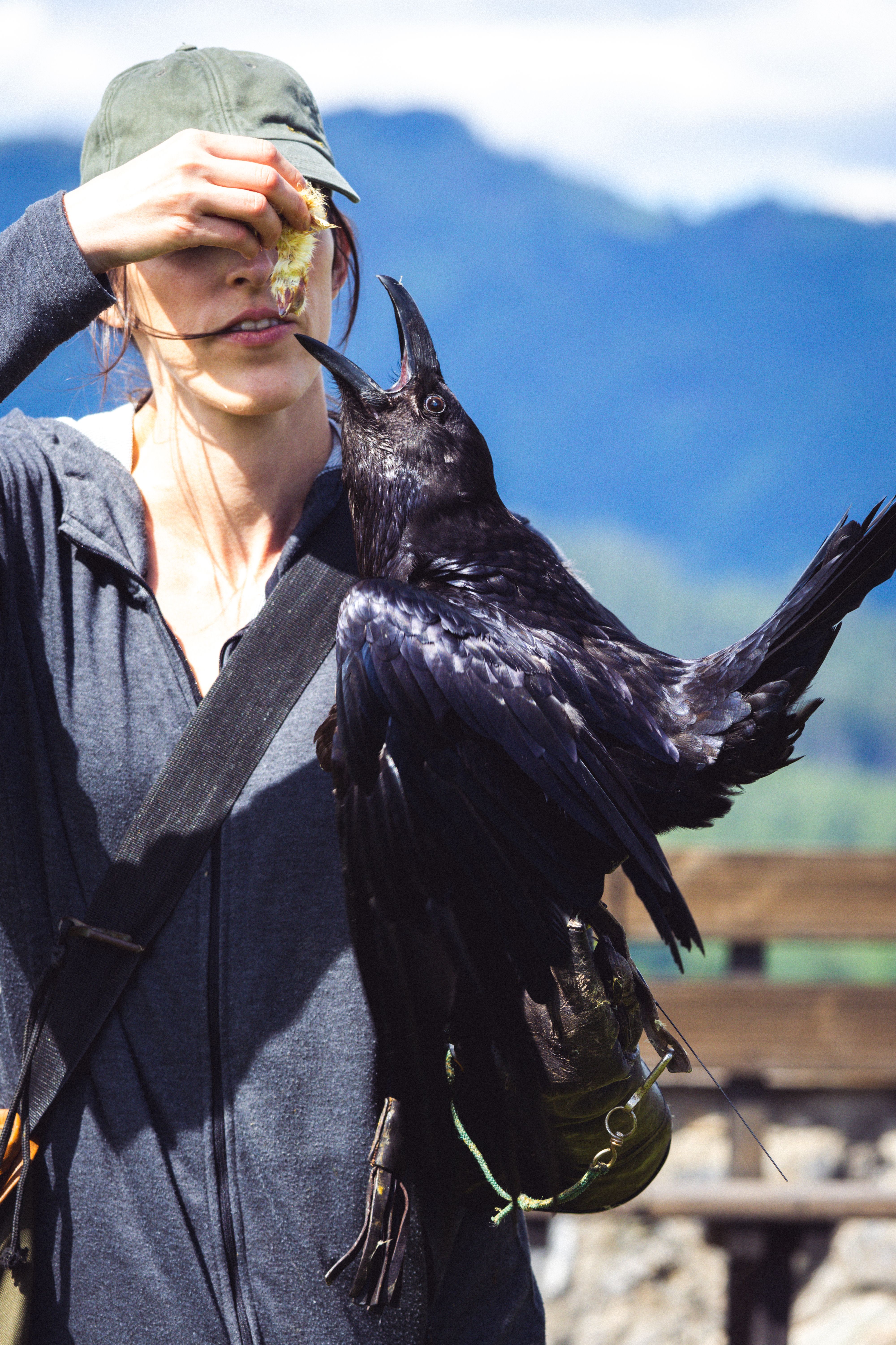 Woman with Eagle in a Mountain Valley · Free Stock Photo