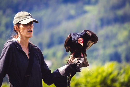 Free A woman handling a turkey vulture in a beautiful outdoor location, showcasing wildlife interaction. Stock Photo