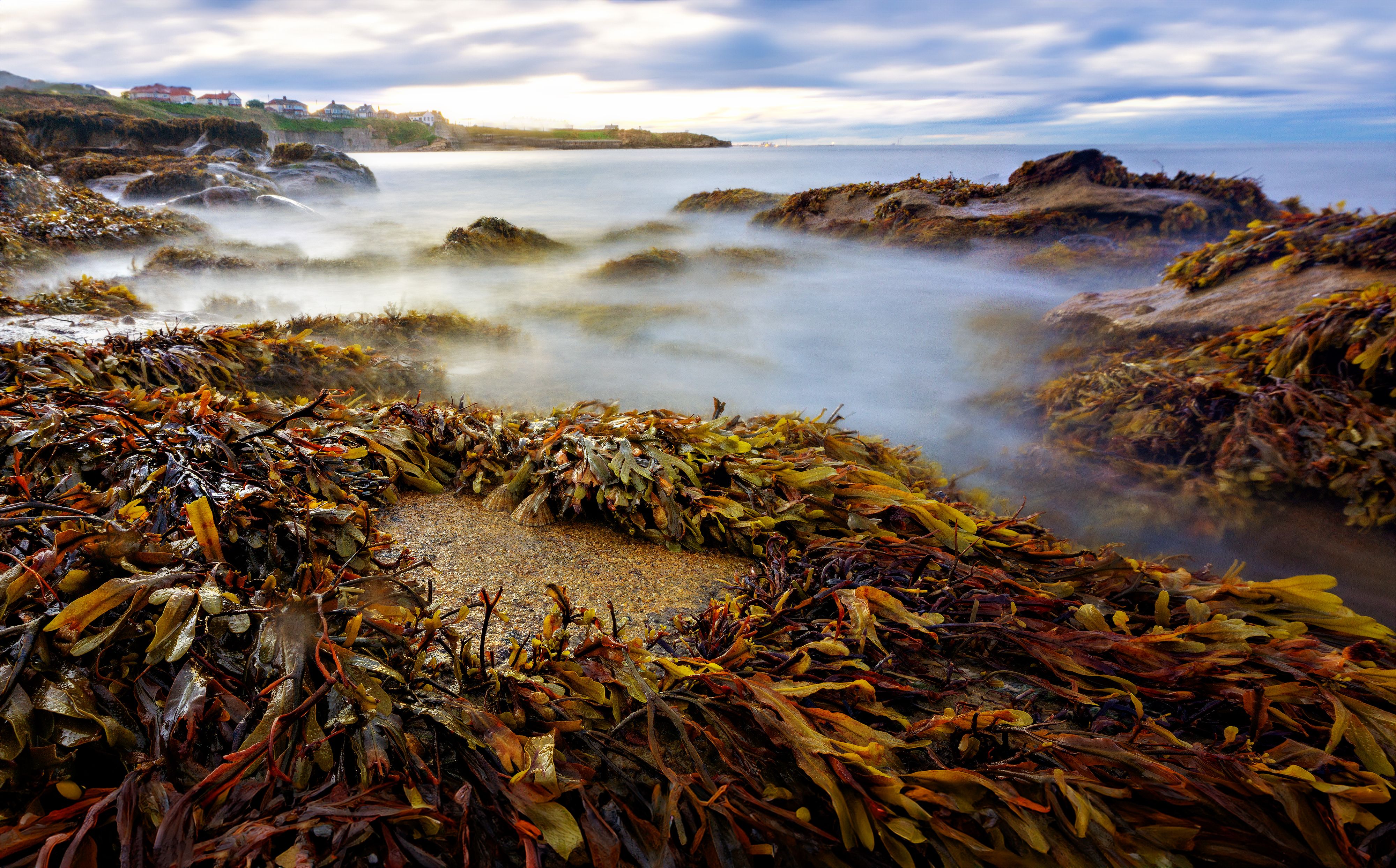 Foto: Ray Bilcliff / Pexels