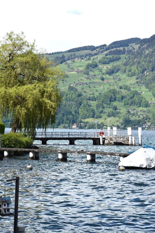 シースケープ, スイス, スイスアルプスの無料の写真素材