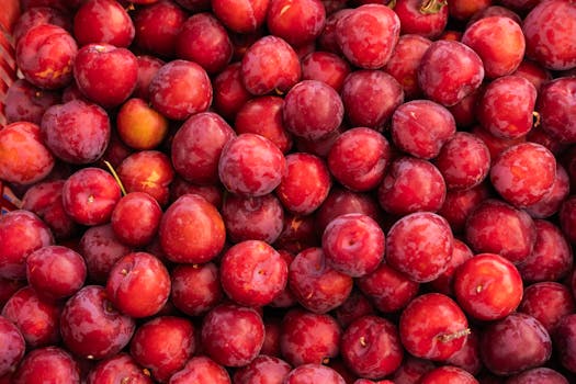 Vibrant red plums displayed in abundance, showcasing organic freshness. Perfect for culinary inspiration.