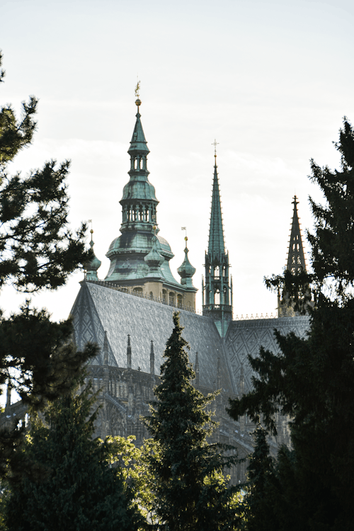 A large cathedral with spires and trees in the background