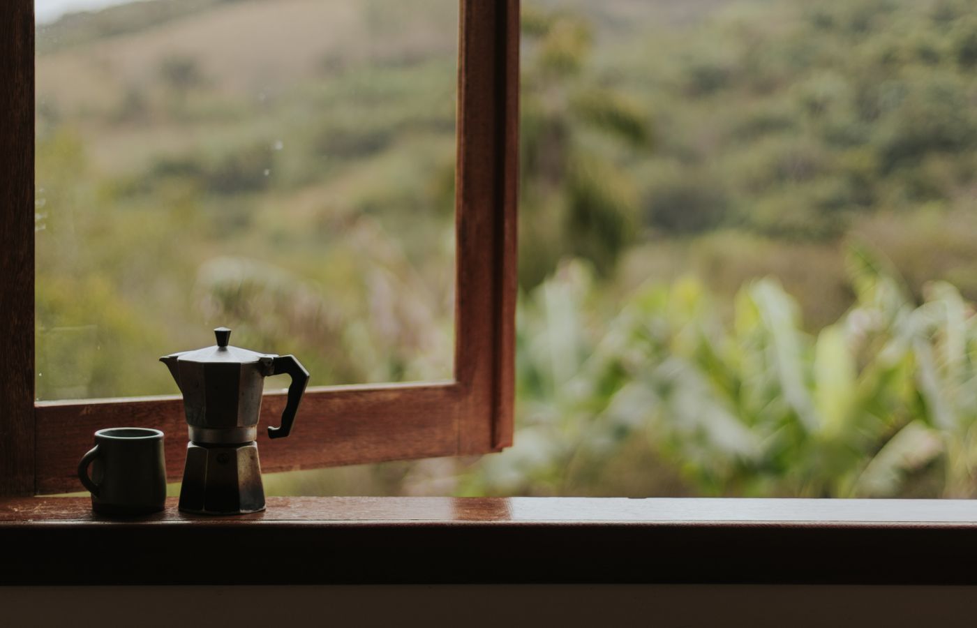 A coffee maker and mug on a window sill, overlooking a lush greenery outdoors.