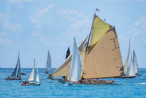 Foto profissional grátis de água, barco, barco a vela