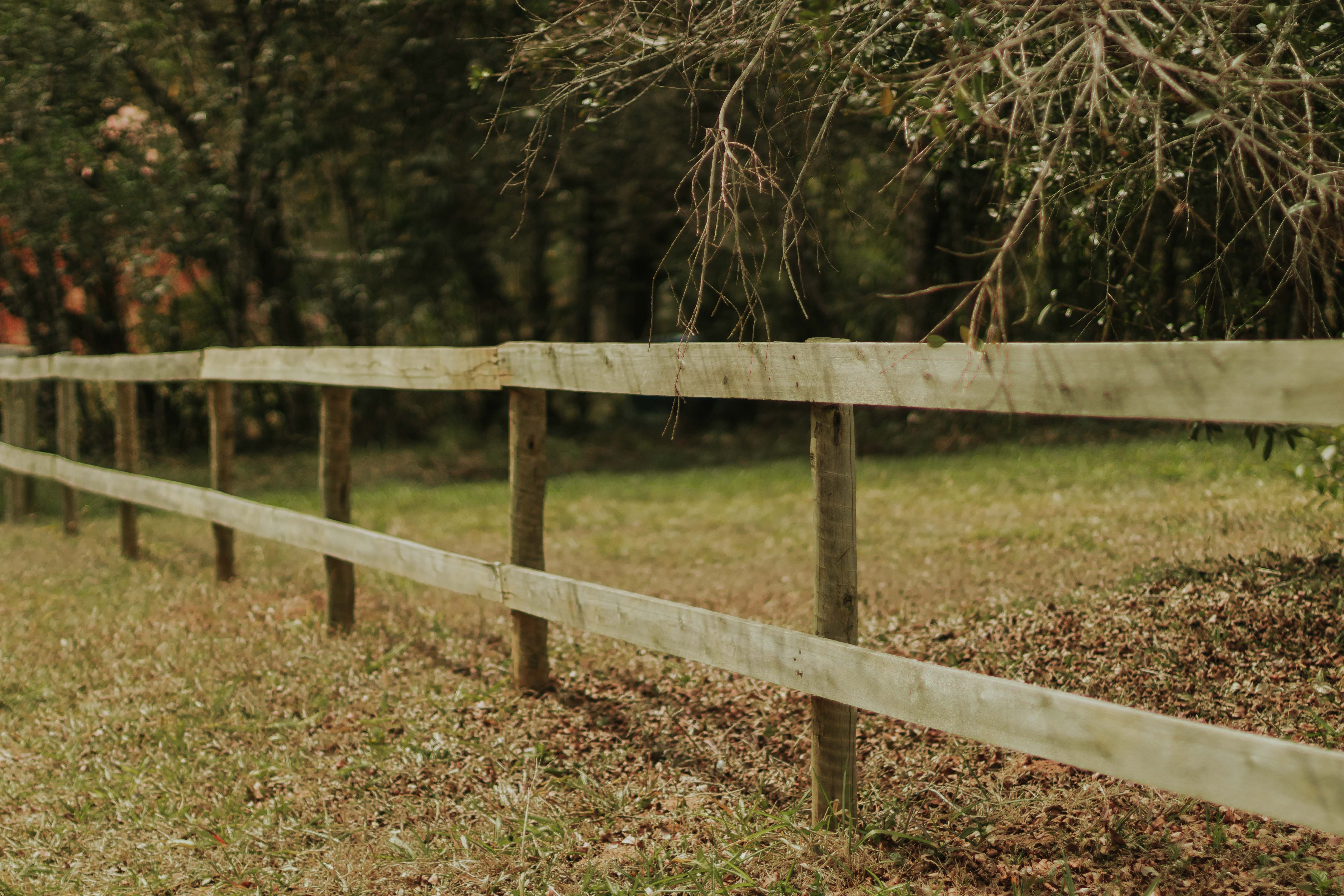 Fence and Decking Painting in Coldblow — walls rolled to an even, flat finish