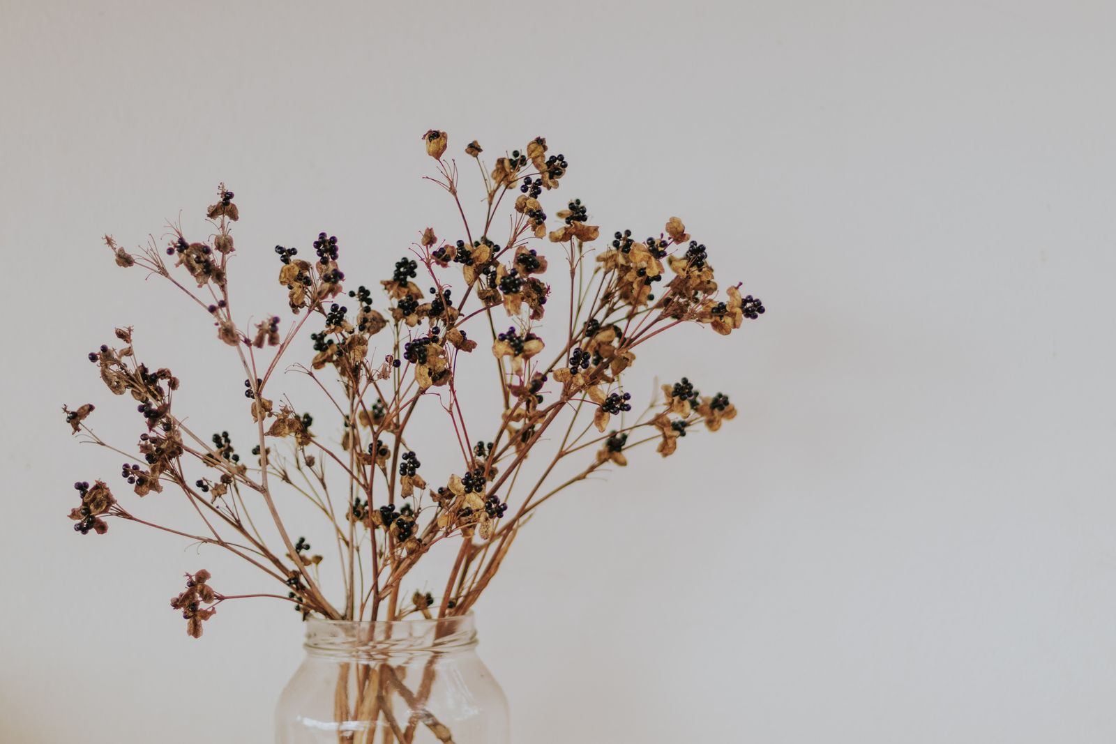 Bottled Blooms - Elegance of Pressed Flower Jars