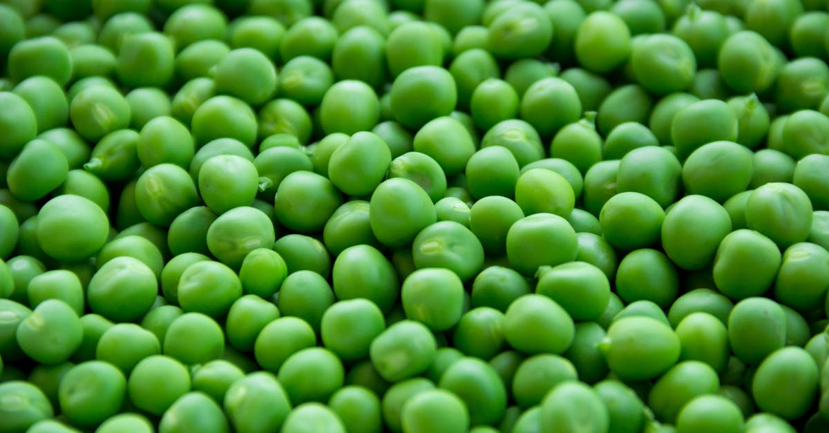 How to boil green beans fresh