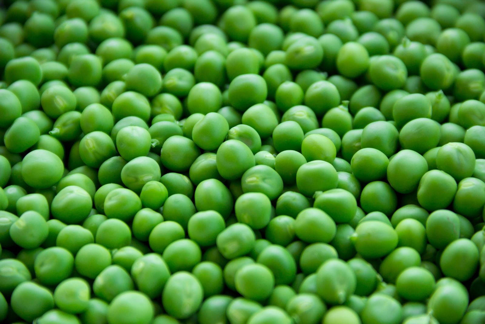 Fresh green peas