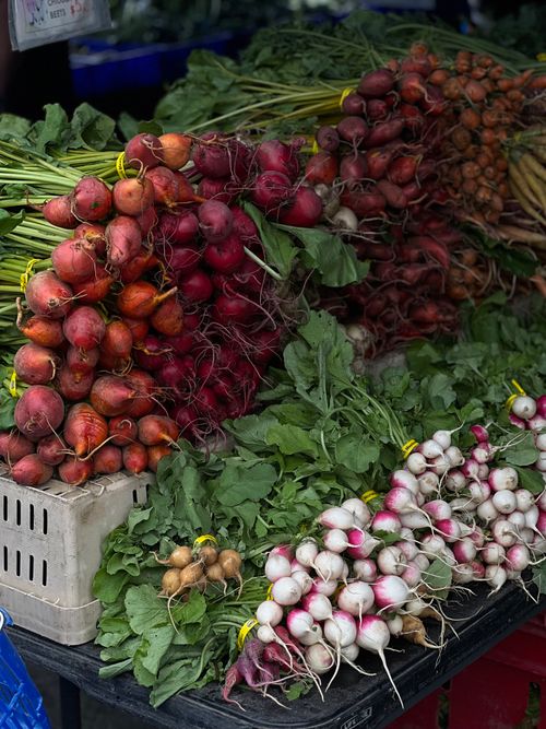 Free Colorful radish varieties displayed at an outdoor market, showcasing fresh produce. Stock Photo