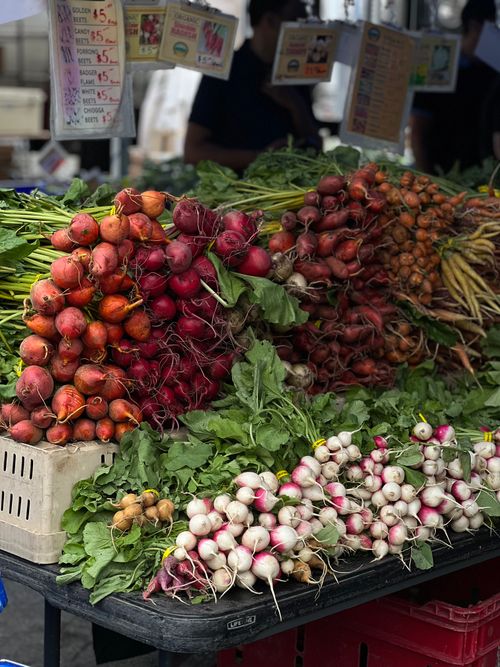 Free A colorful display of fresh radishes at an outdoor farmer's market stall. Stock Photo
