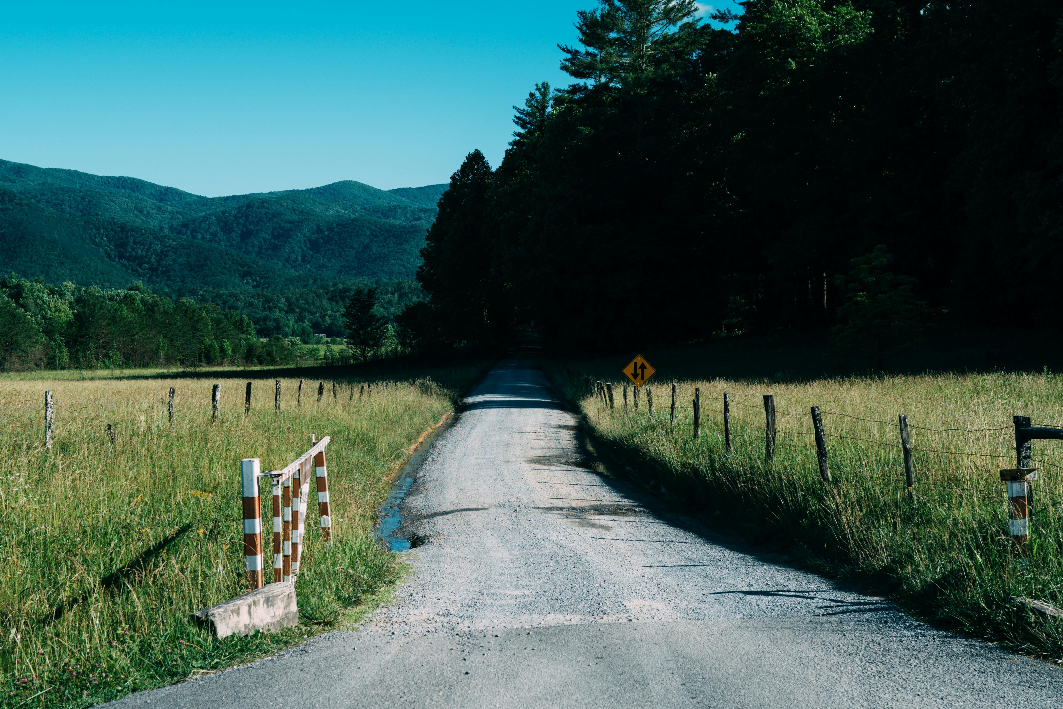 Dirt road surrounded by greenery and mountains under a bright blue sky, ideal summer scene.
