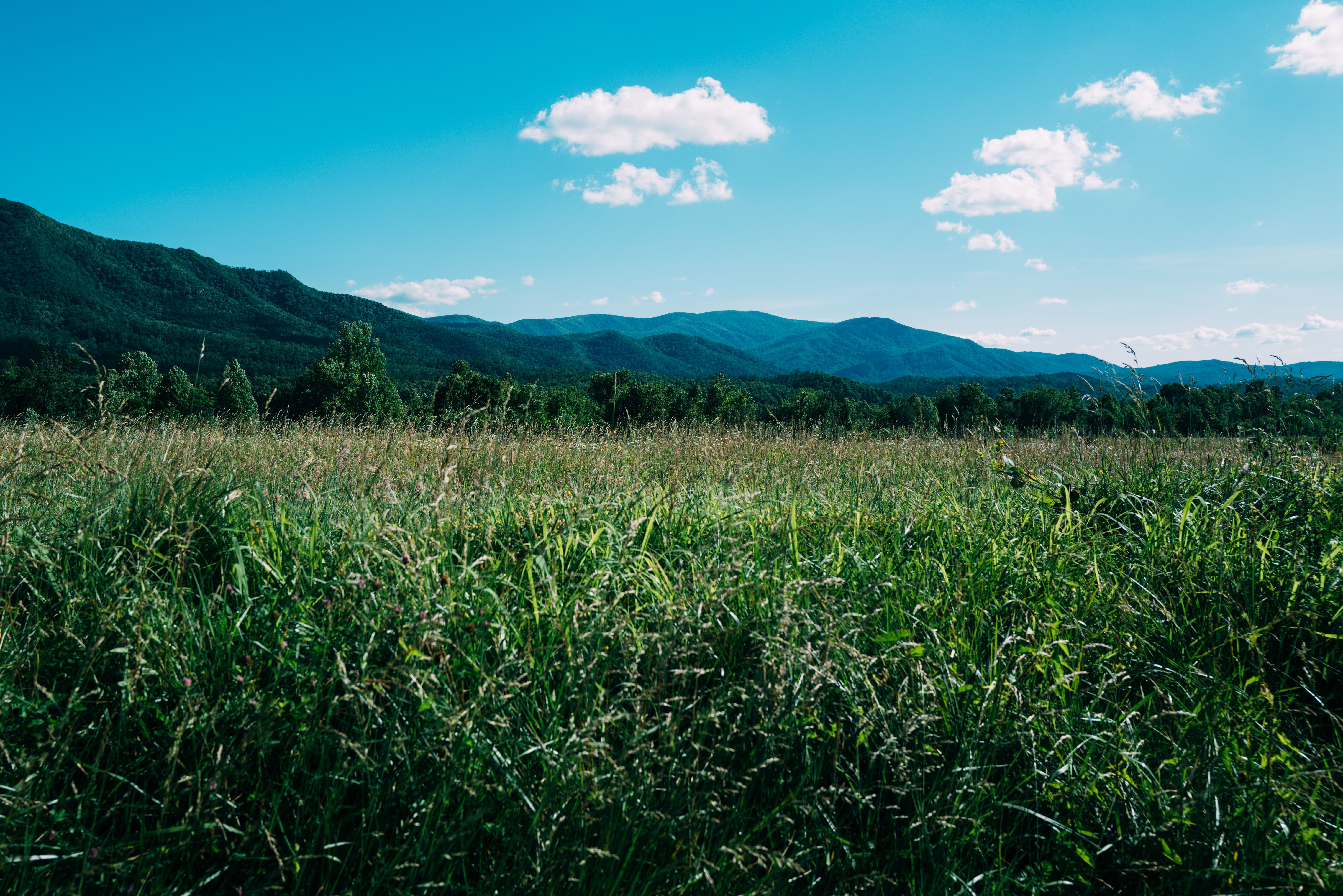 View of a Cropland in a Mountain Valley · Free Stock Photo