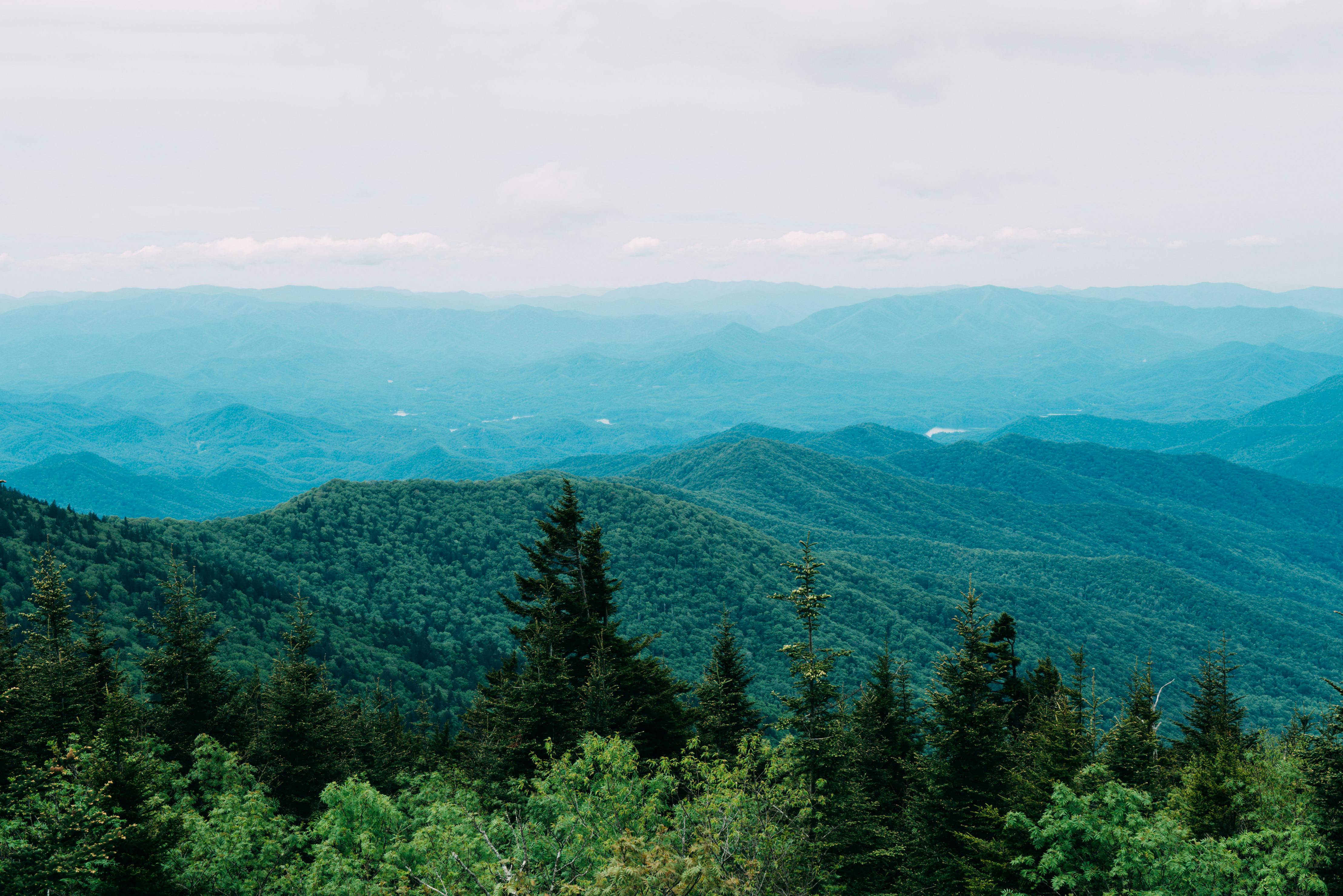 Serene mountain landscape with green coniferous trees and misty blue hues.