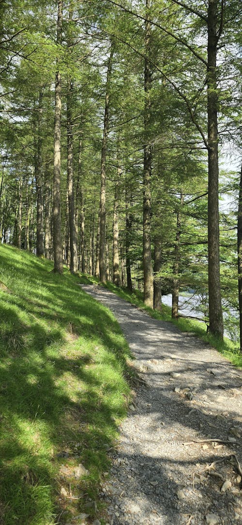 Buttermere walk