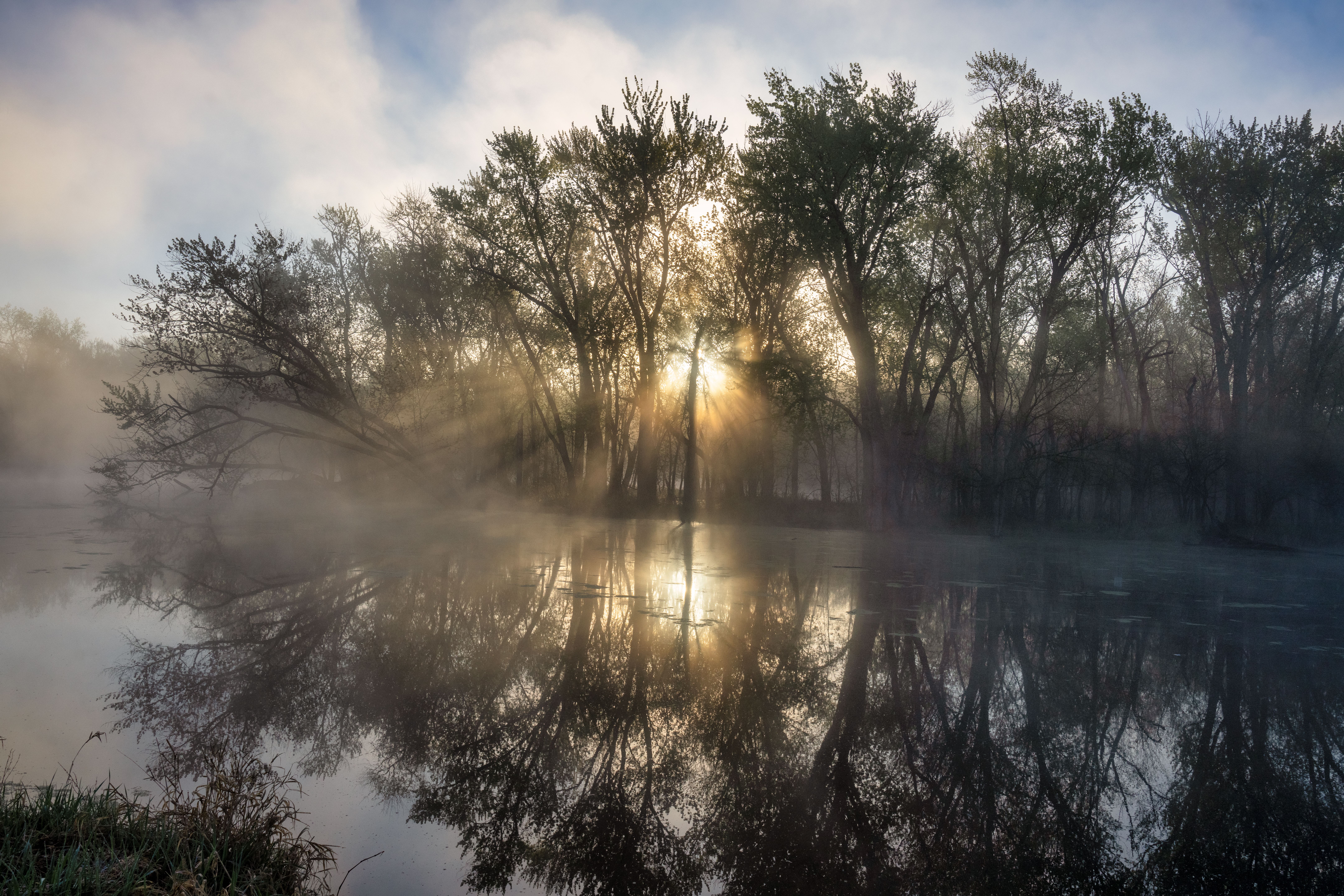 A sunrise over a river with trees and fog · Free Stock Photo