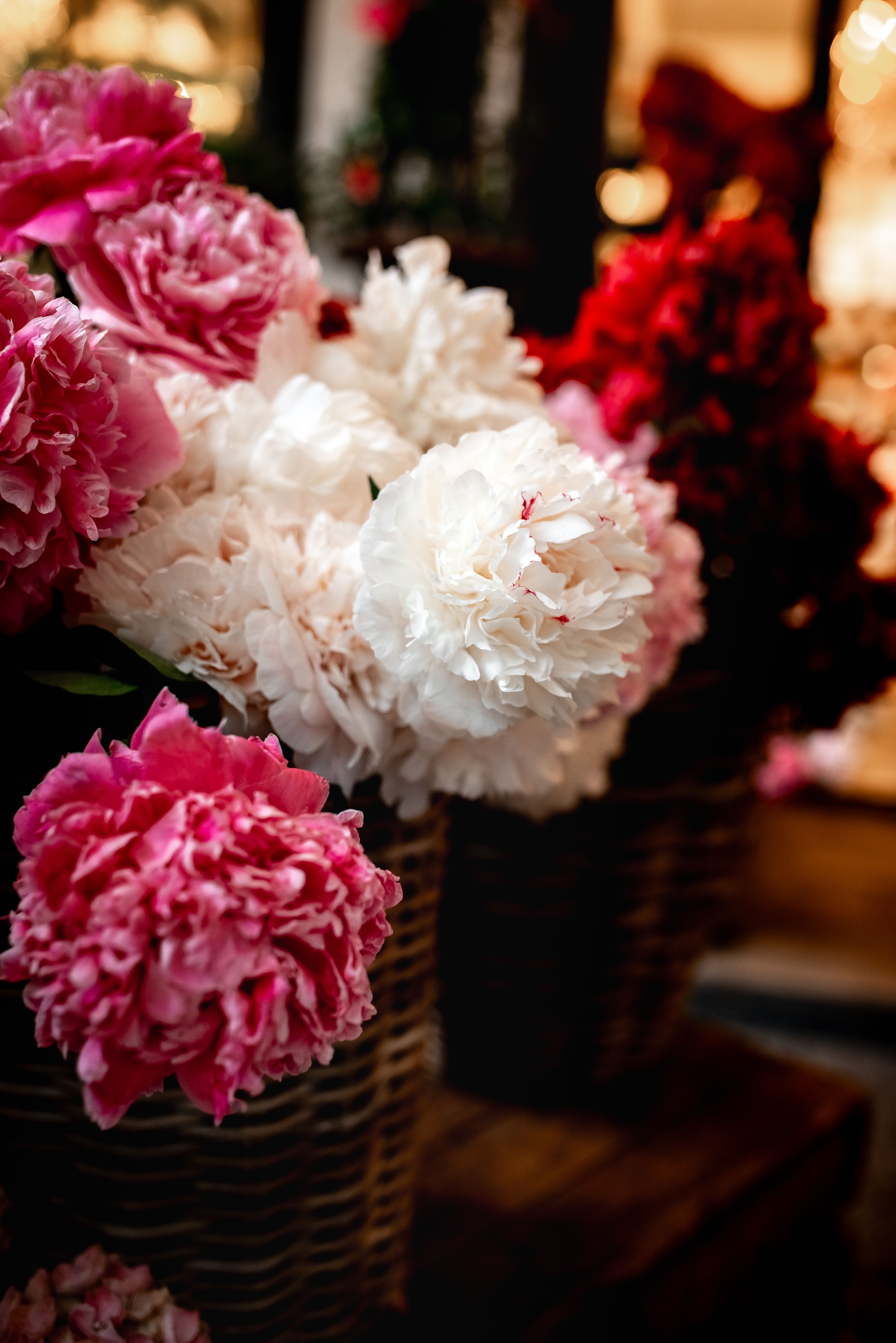 Close-up of Pink and White Peonies in a Basket · Free Stock Photo