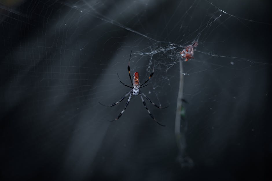 web crawler - search engine optimization