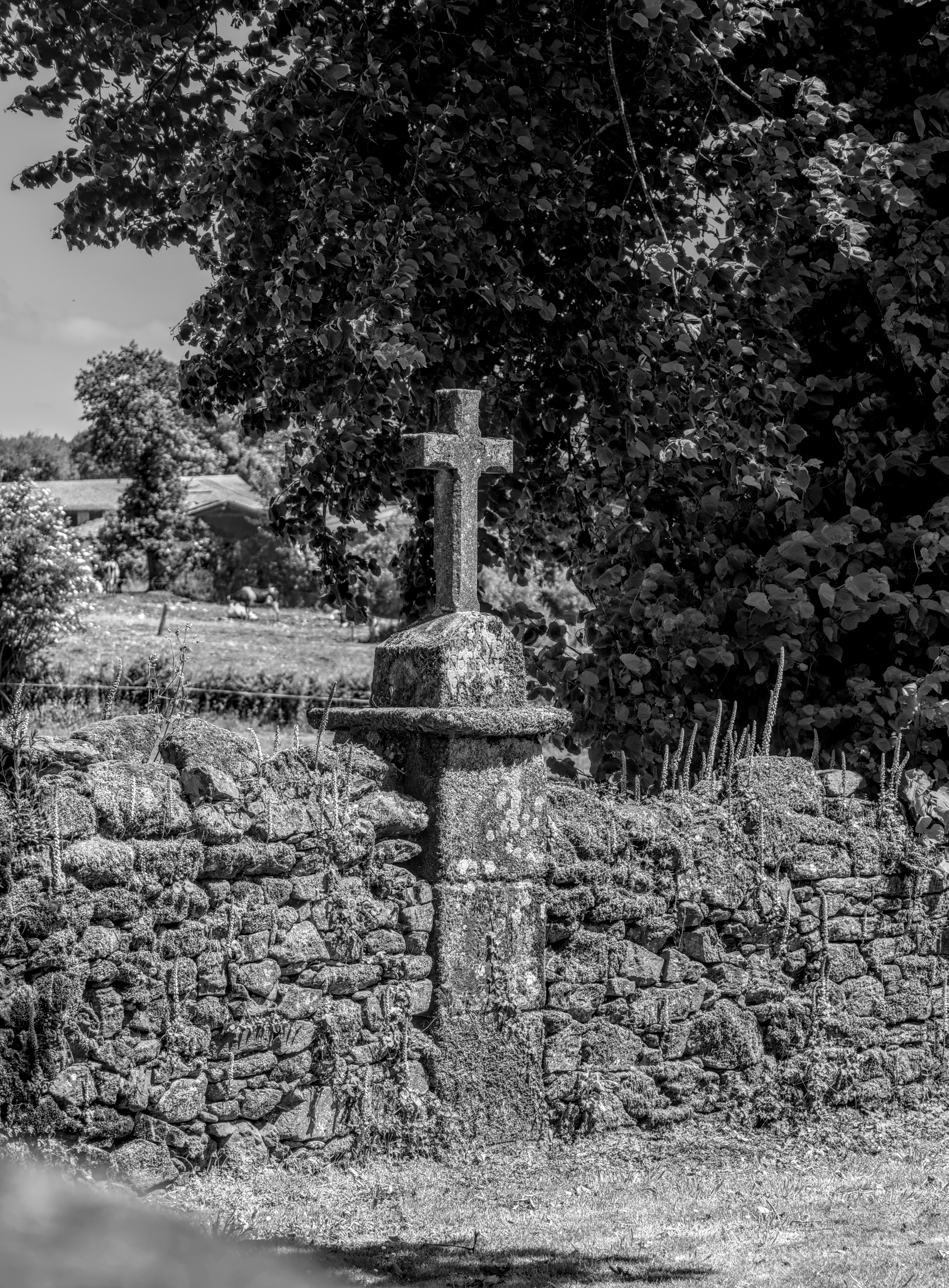 A black and white photo of a stone cross in a peaceful rural landscape, ideal for contemplative themes.