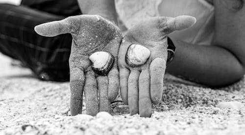 Person Holding Shells