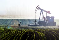 抽油泵坐落在风景优美的农业景观中，周围田野郁郁葱葱，树木葱郁