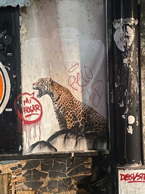 Free arte callejero  Stock Photo