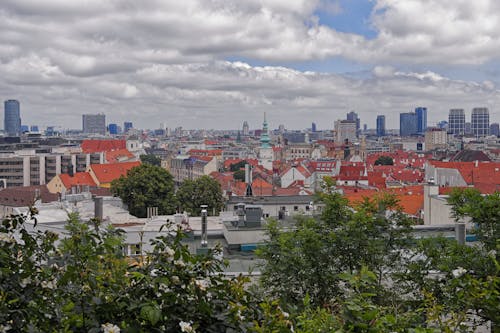 A view of the city from a hilltop