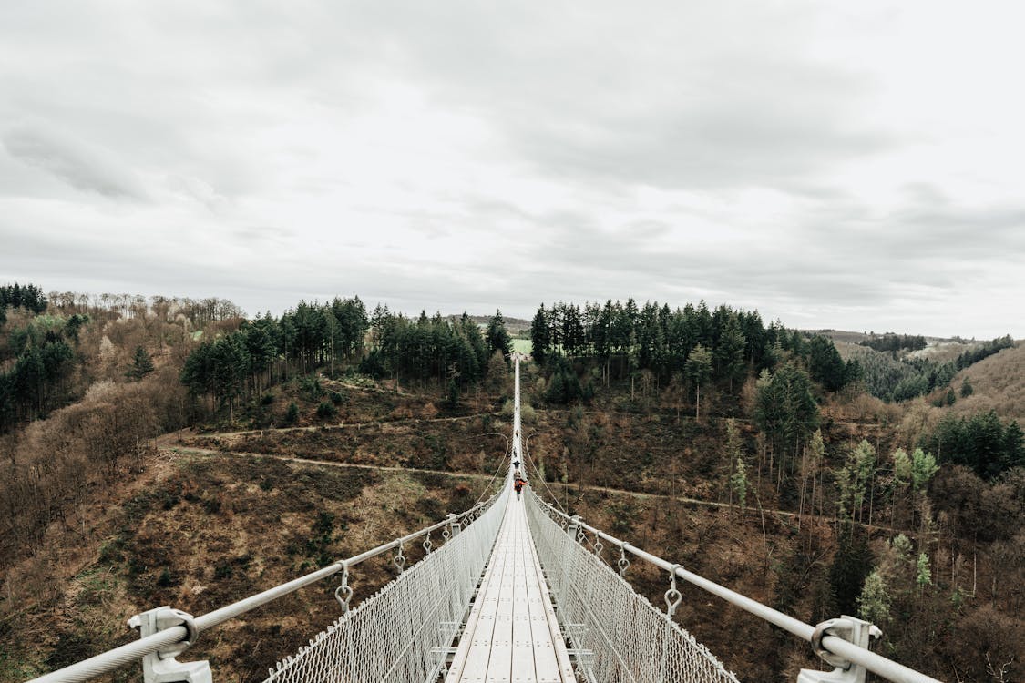 Gratis stockfoto met begeleiding, berg, boom